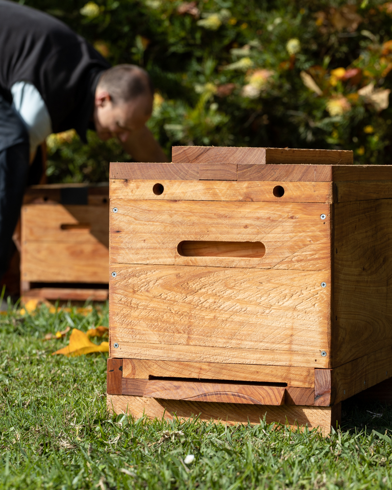garden.hive.1