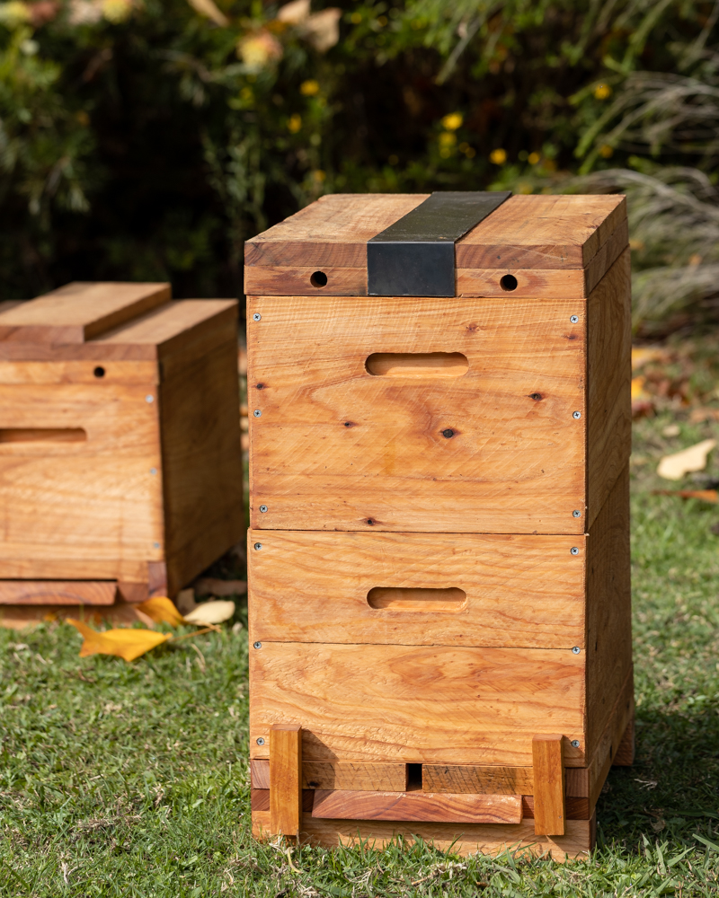 garden.hive.2.
