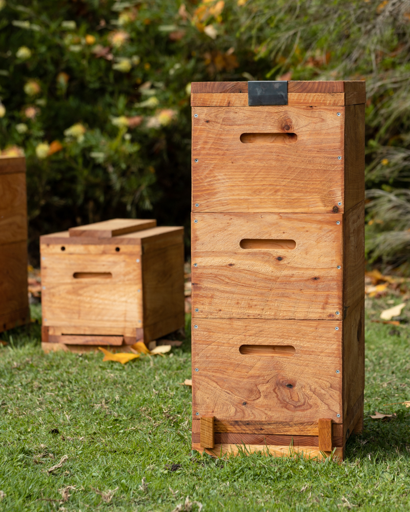 garden.hive.3